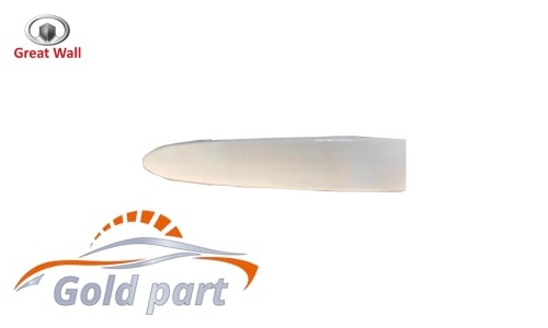 دستگیره بیرونی جلو چپ گریت وال ولکس C30