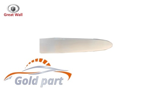 دستگیره بیرونی عقب چپ گریت وال ولکس C30