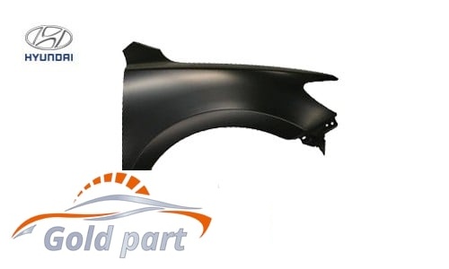 گلگیر جلو راست هیوندای وراکروز