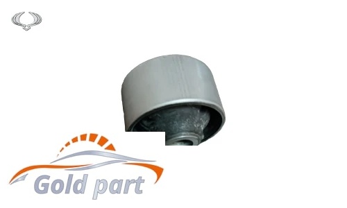 بوش طبق بزرگ جلو چپ سانگ یانگ تیوولی