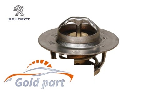 ترموستات پژو 405