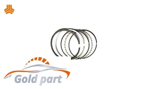 رینگ موتور استاندارد آریو Z300